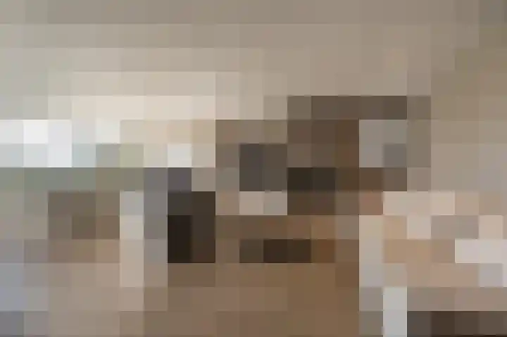 Mookhoek 64 Mookhoek thumbnail 17
