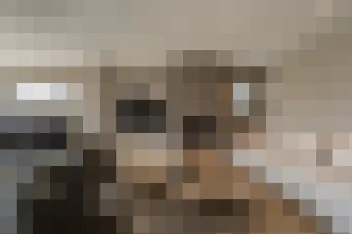 Mookhoek 64 Mookhoek thumbnail 18