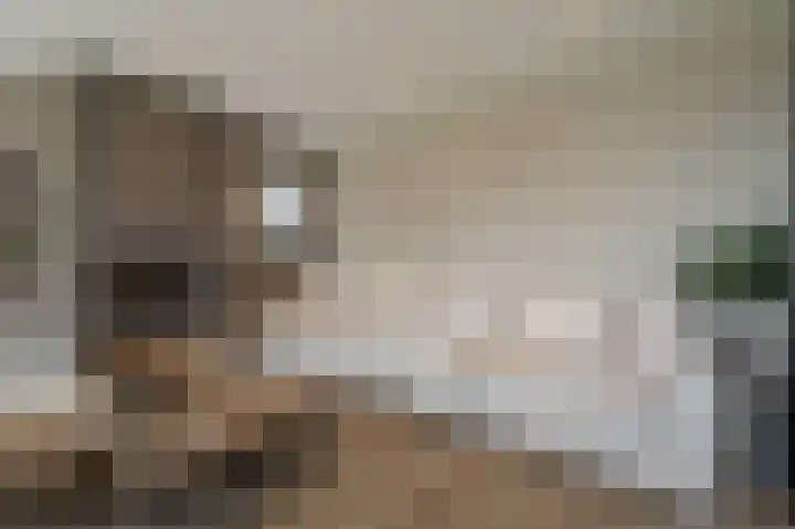 Mookhoek 64 Mookhoek thumbnail 19
