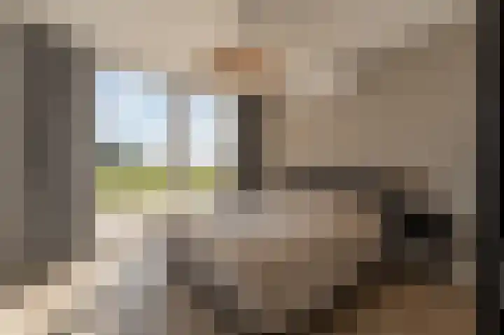 Mookhoek 64 Mookhoek thumbnail 25