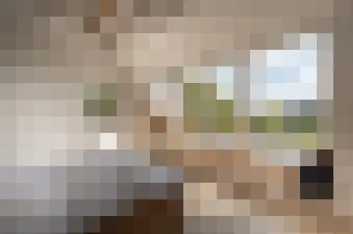 Mookhoek 64 Mookhoek thumbnail 33