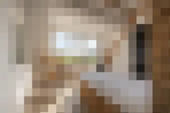 Mookhoek 64 Mookhoek thumbnail 36