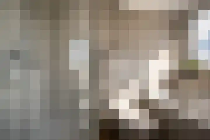 Mookhoek 64 Mookhoek thumbnail 43