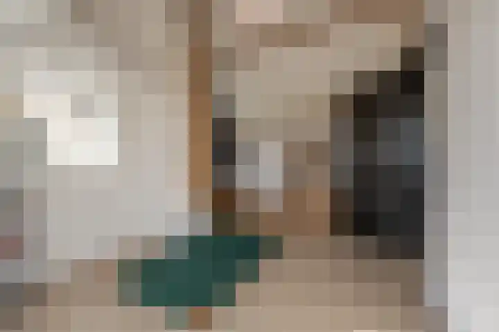 Mookhoek 64 Mookhoek thumbnail 46