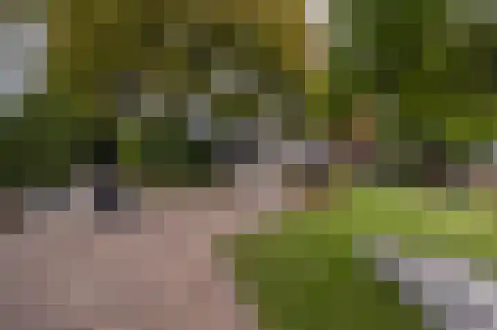 Mookhoek 64 Mookhoek thumbnail 47