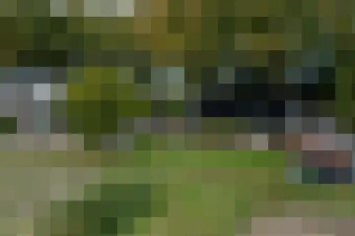 Mookhoek 64 Mookhoek thumbnail 5