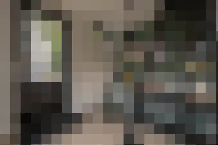 Mookhoek 64 Mookhoek thumbnail 54