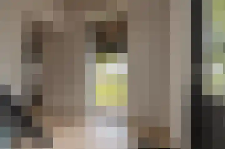 Mookhoek 64 Mookhoek thumbnail 57