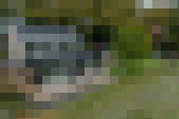 Mookhoek 64 Mookhoek thumbnail 6