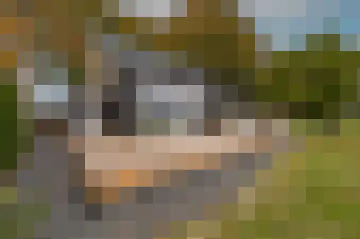 Mookhoek 64 Mookhoek thumbnail 61