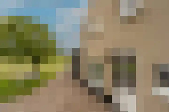 Mookhoek 64 Mookhoek thumbnail 64