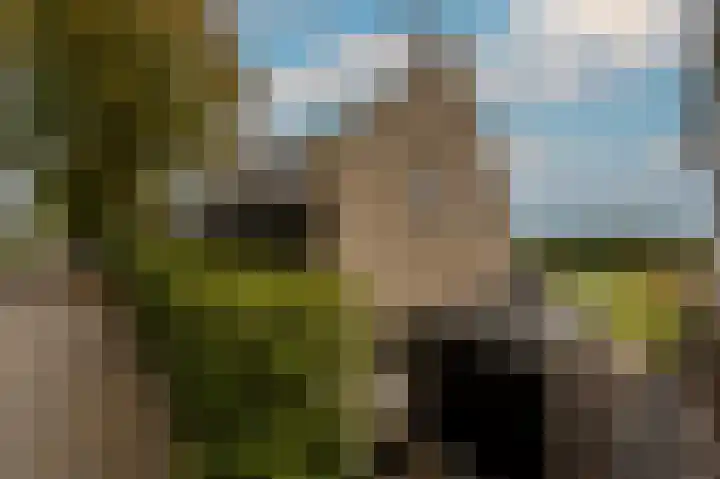 Mookhoek 64 Mookhoek thumbnail 66