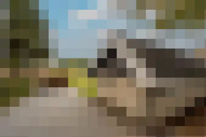 Mookhoek 64 Mookhoek thumbnail 69