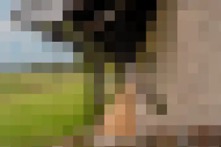 Mookhoek 64 Mookhoek thumbnail 70