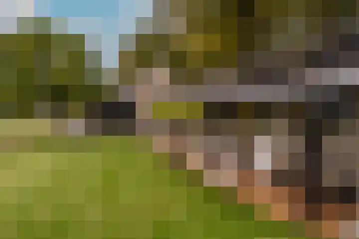 Mookhoek 64 Mookhoek thumbnail 71