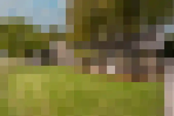 Mookhoek 64 Mookhoek thumbnail 72