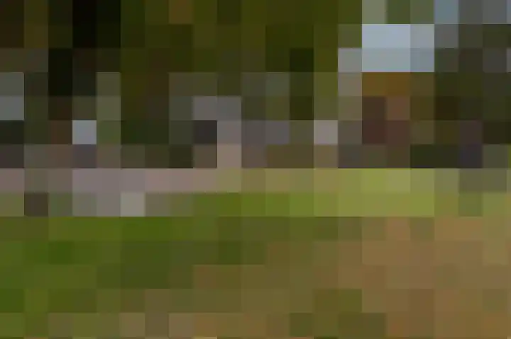 Mookhoek 64 Mookhoek thumbnail 74