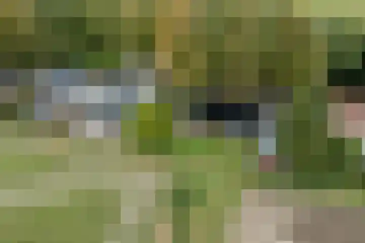 Mookhoek 64 Mookhoek thumbnail 76