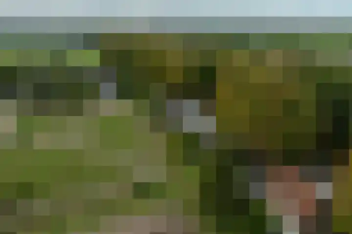 Mookhoek 64 Mookhoek thumbnail 77