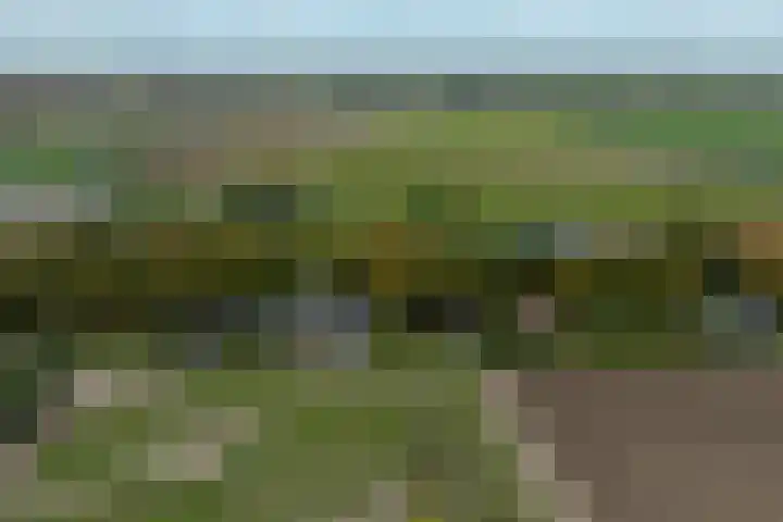 Mookhoek 64 Mookhoek thumbnail 78