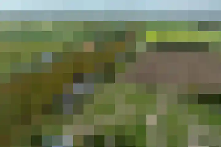 Mookhoek 64 Mookhoek thumbnail 79