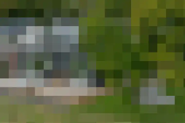 Mookhoek 64 Mookhoek thumbnail 8