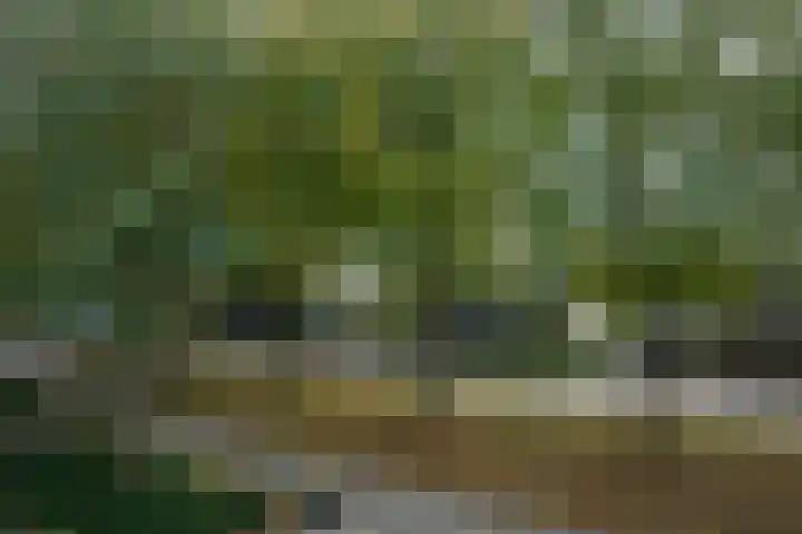 Mookhoek 64 Mookhoek thumbnail 80