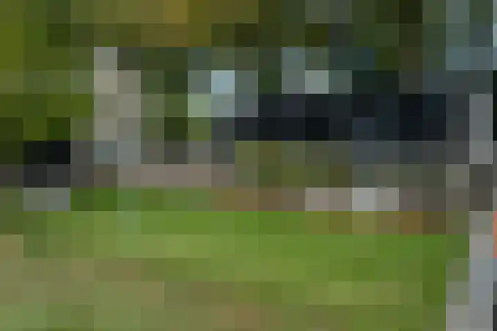 Mookhoek 64 Mookhoek thumbnail 9