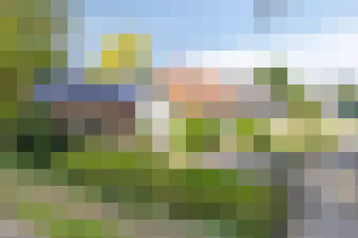 Mookhoek 75 in Mookhoek