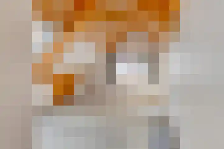 Mookhoek 75 Mookhoek thumbnail 14