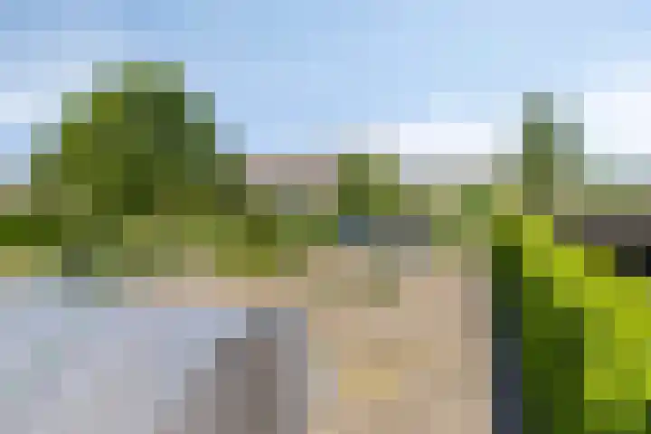 Mookhoek 75 Mookhoek thumbnail 16