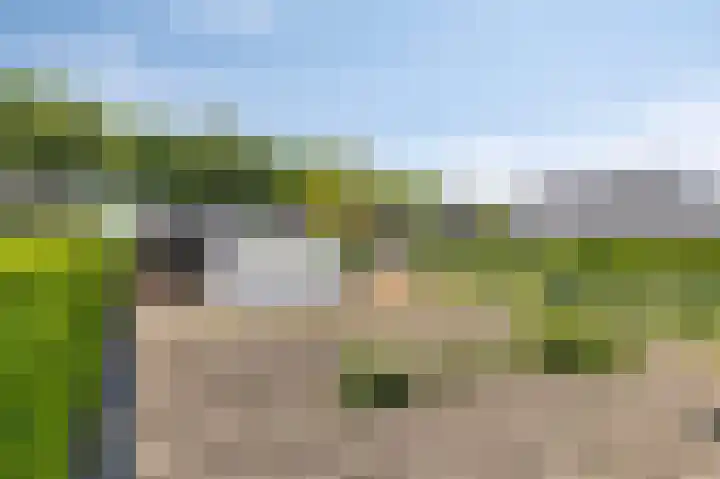 Mookhoek 75 Mookhoek thumbnail 17