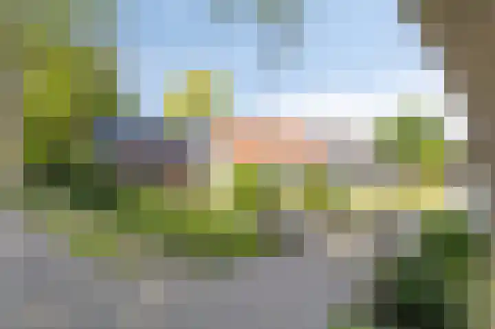 Mookhoek 75 Mookhoek thumbnail 18
