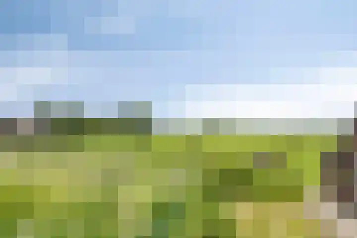 Mookhoek 75 Mookhoek thumbnail 19