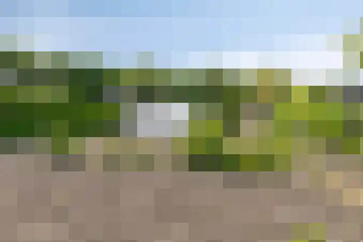 Mookhoek 75 Mookhoek thumbnail 4