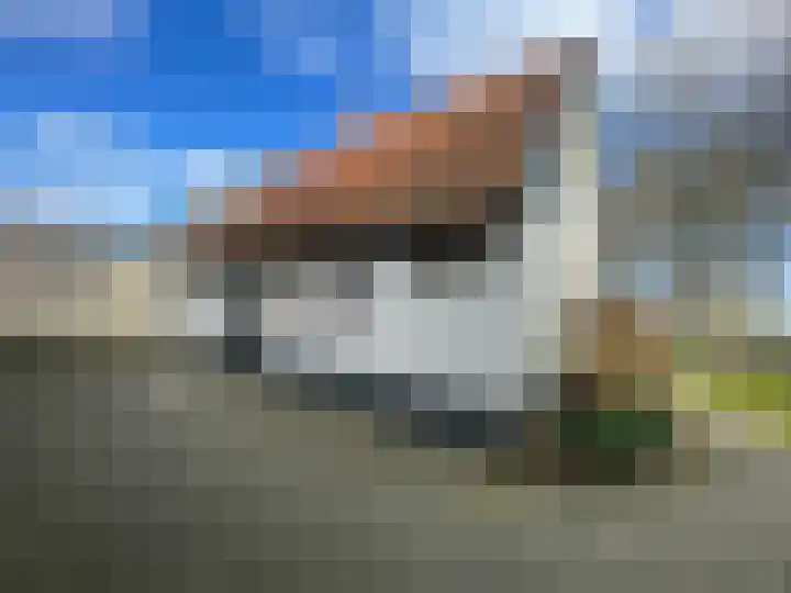 Mookhoek 75 Mookhoek thumbnail 7