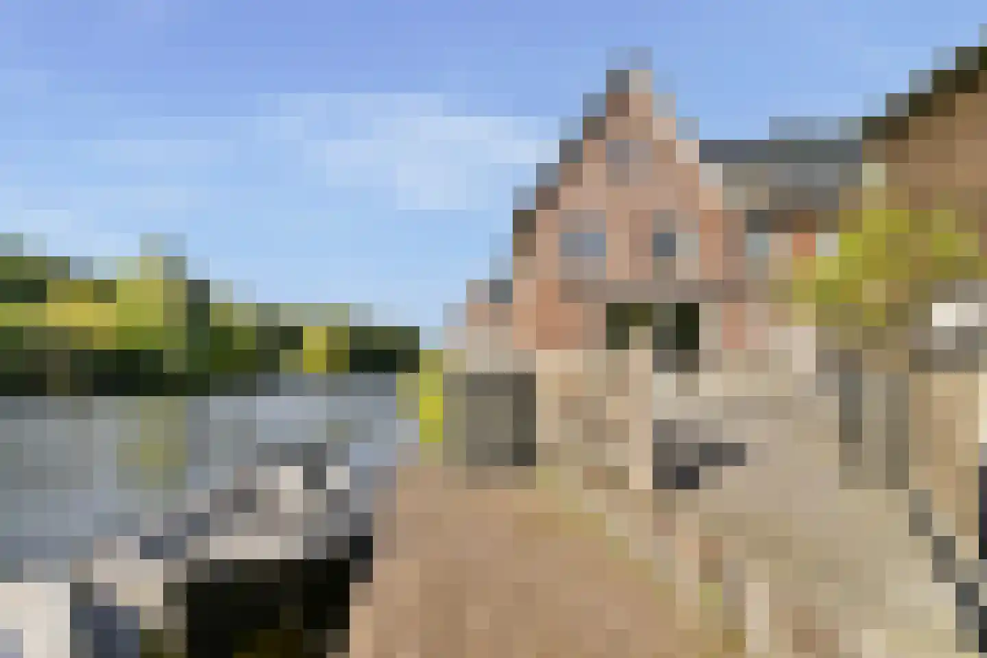 Mookhoeksestraat 9 Schiedam thumbnail 15