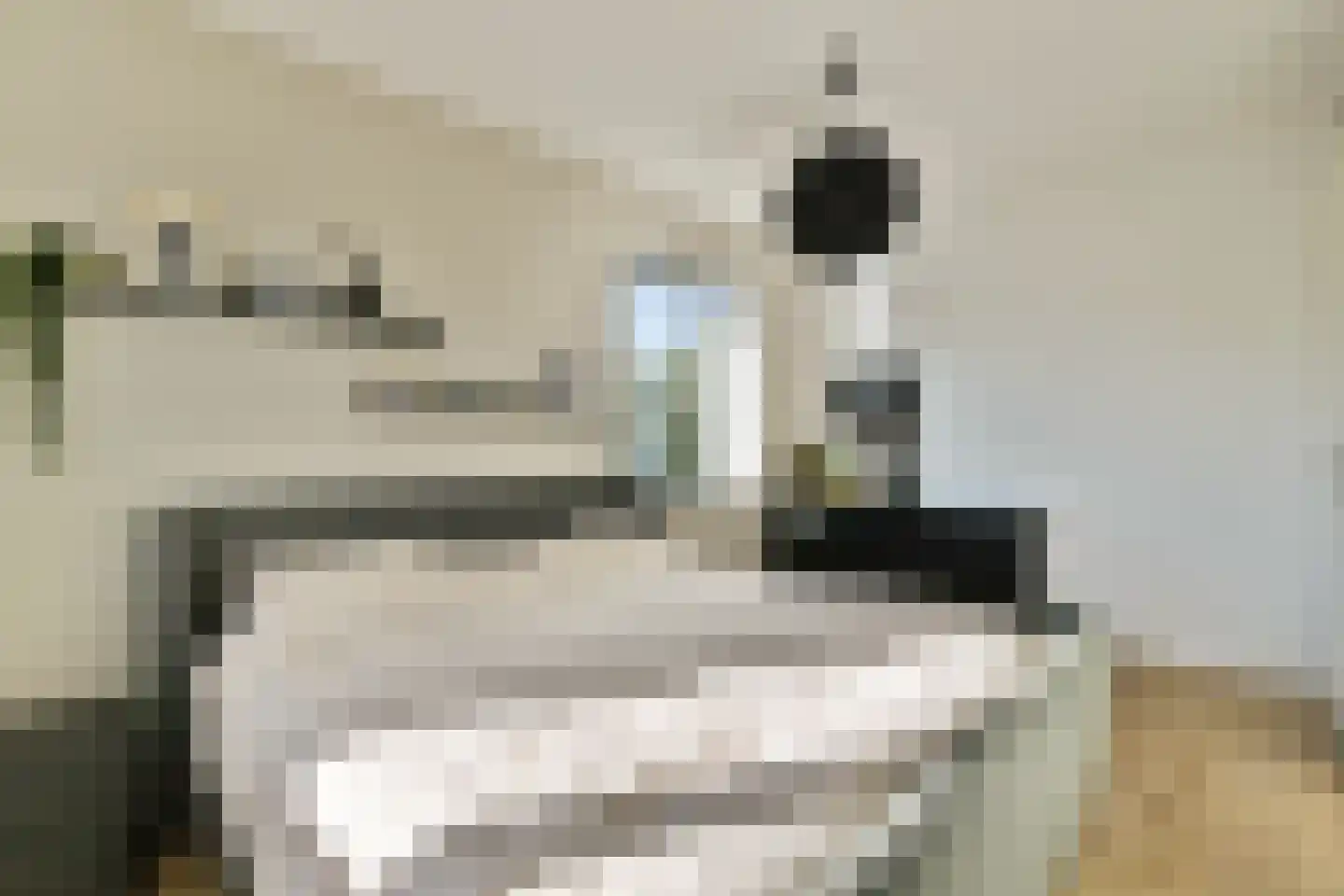 Mookhoeksestraat 9 Schiedam thumbnail 20