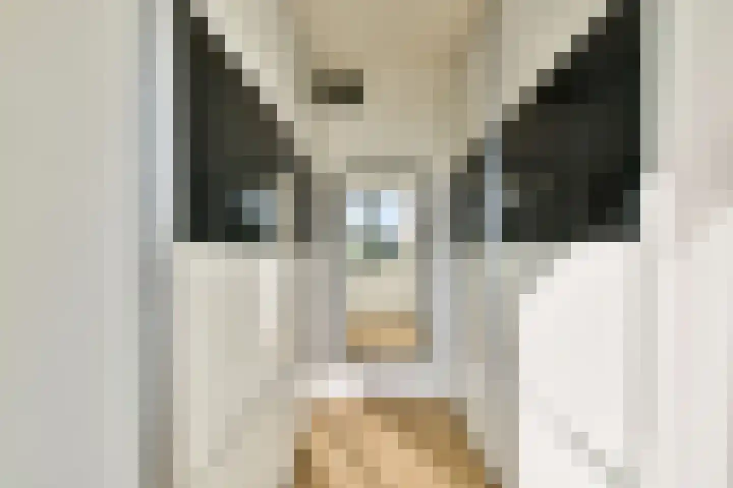 Mookhoeksestraat 9 Schiedam thumbnail 22