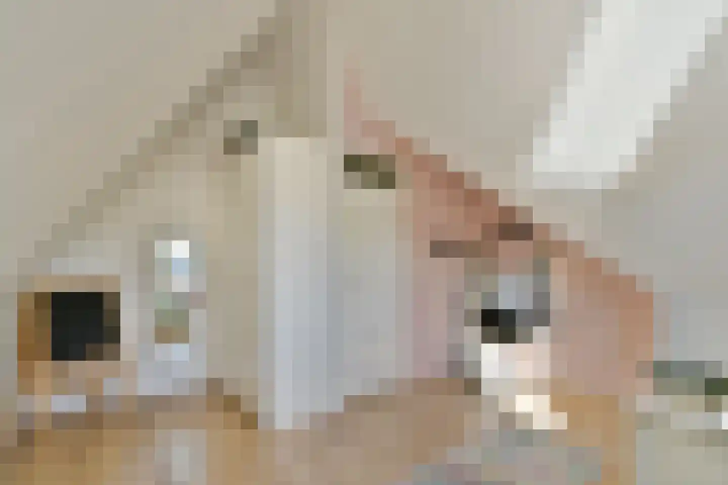 Mookhoeksestraat 9 Schiedam thumbnail 29