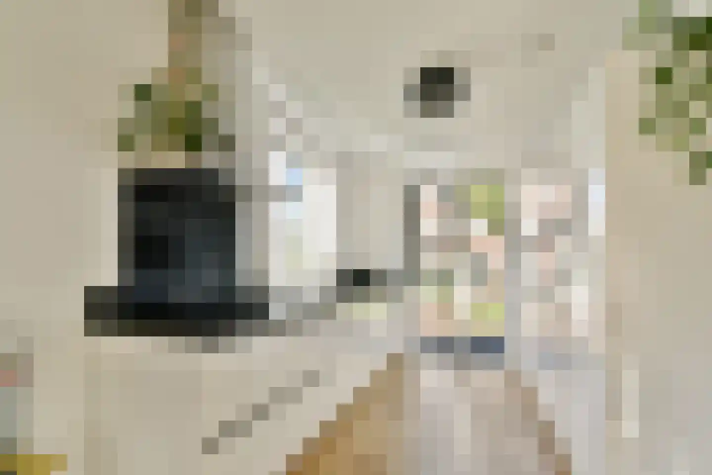 Mookhoeksestraat 9 Schiedam thumbnail 8