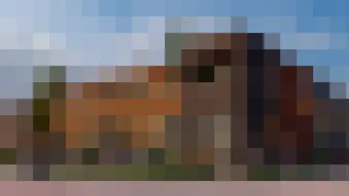 Mooksebaan 2 e Groesbeek thumbnail 4