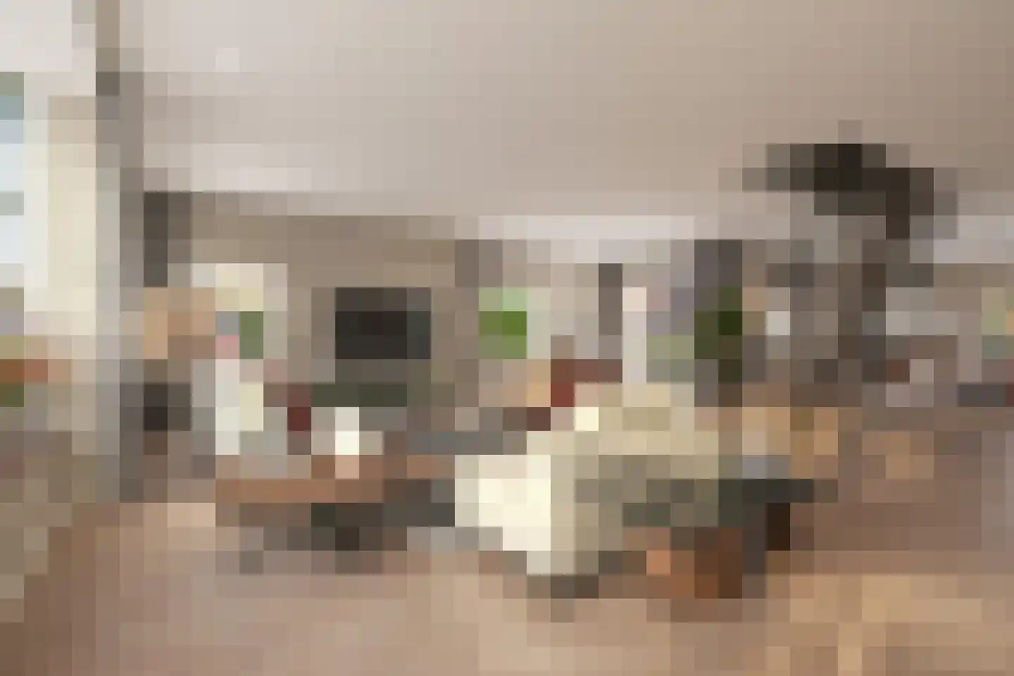 Mooksebaan 4 Groesbeek thumbnail 17