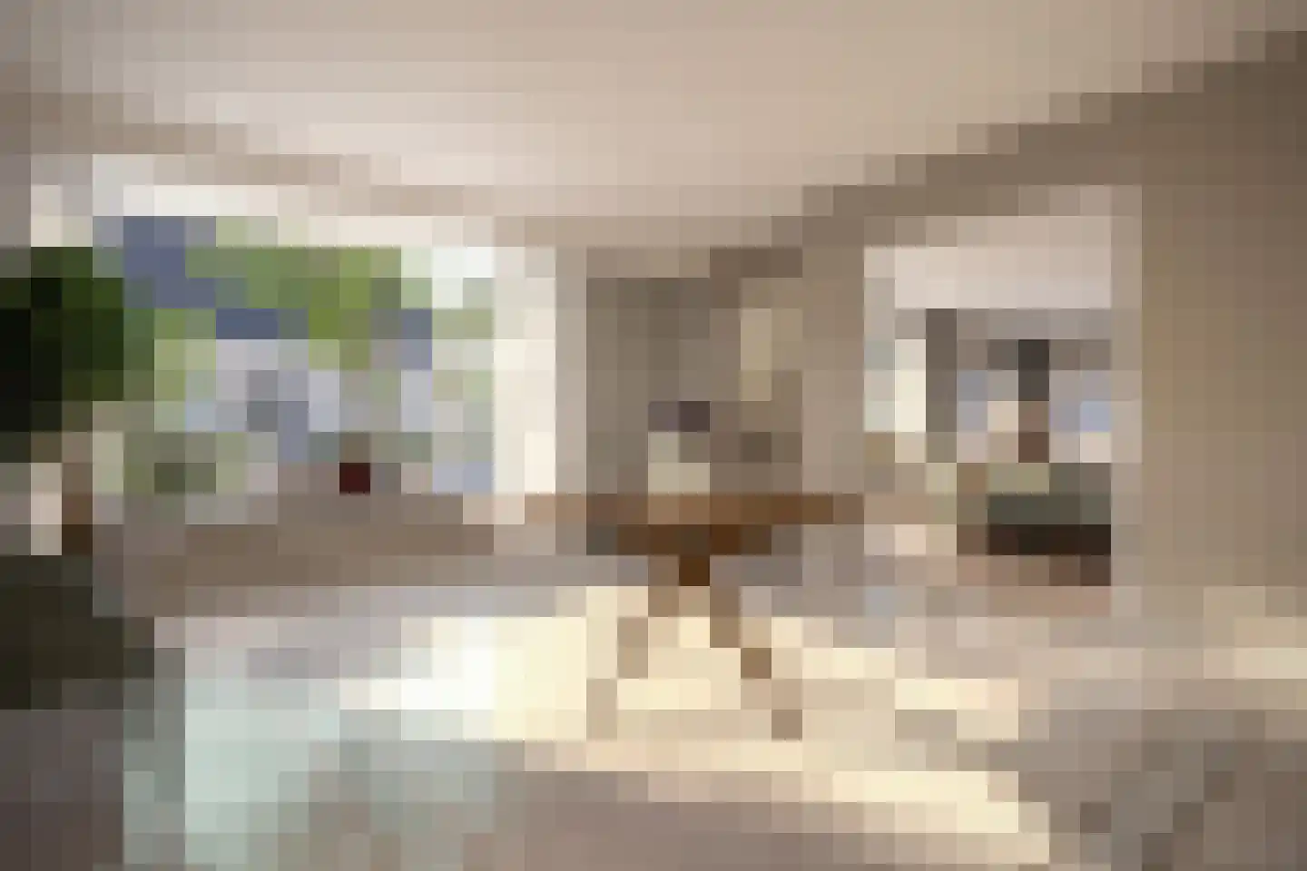 Mooksebaan 4 Groesbeek thumbnail 20