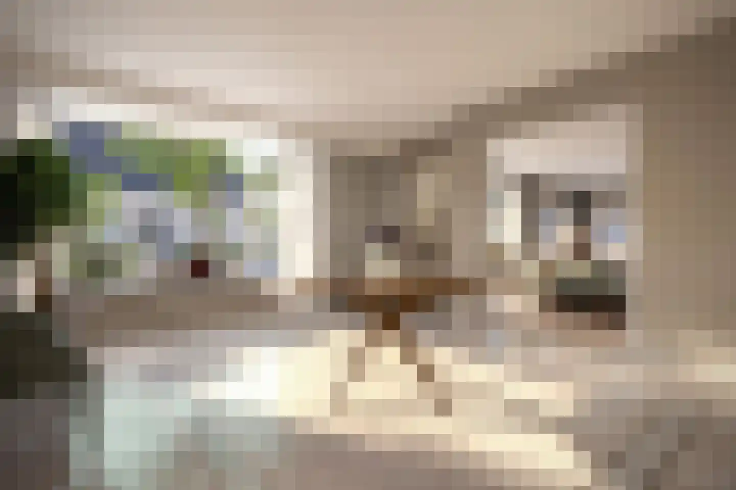 Mooksebaan 4 Groesbeek thumbnail 20