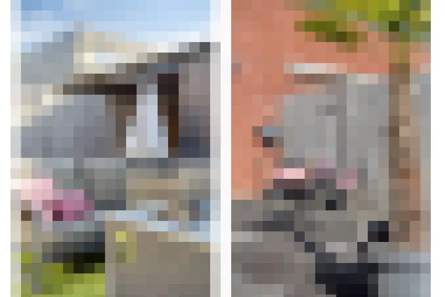 Mookstraat 12 Tilburg thumbnail 26