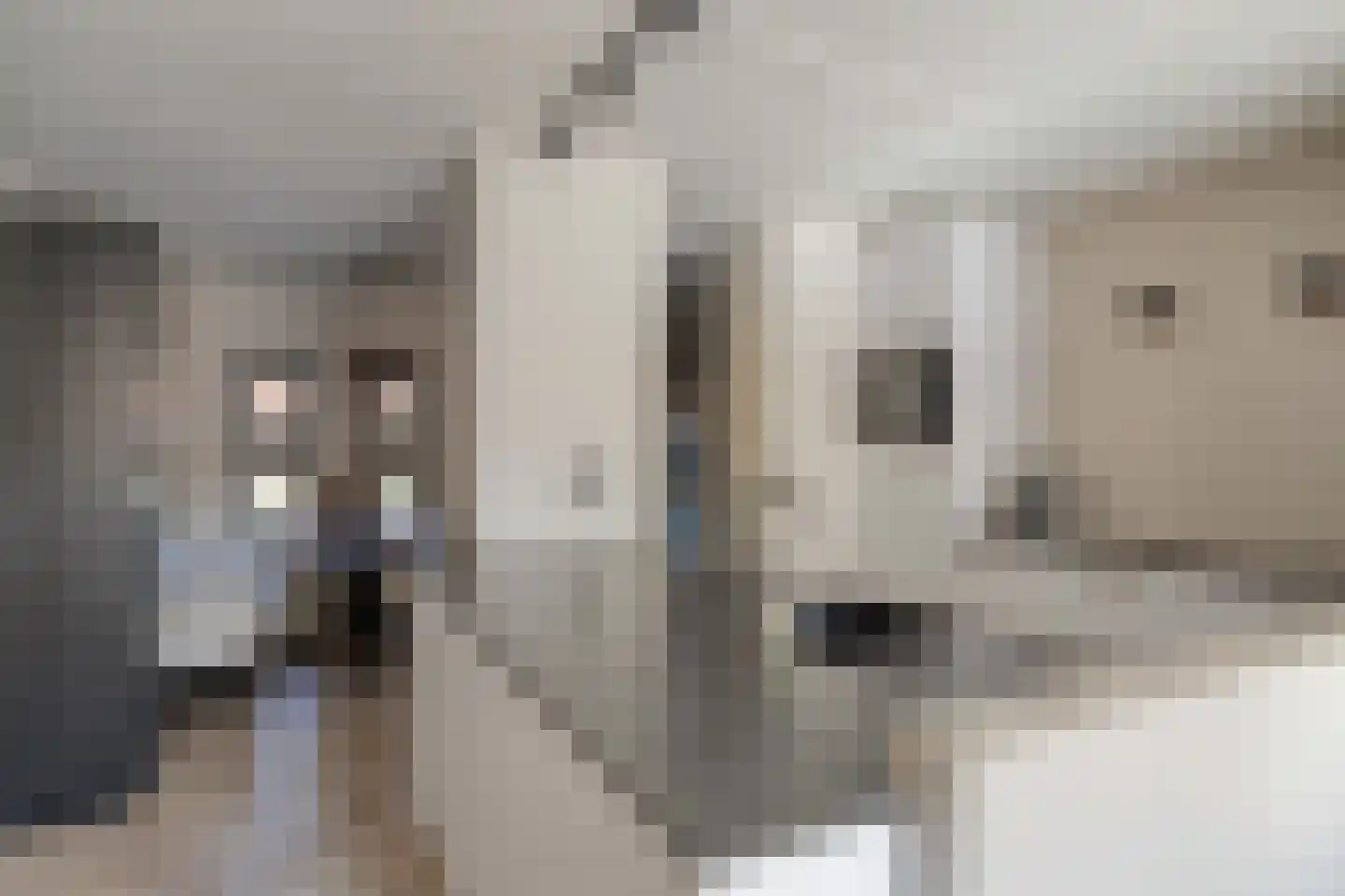 Mookstraat 12 Tilburg thumbnail 9