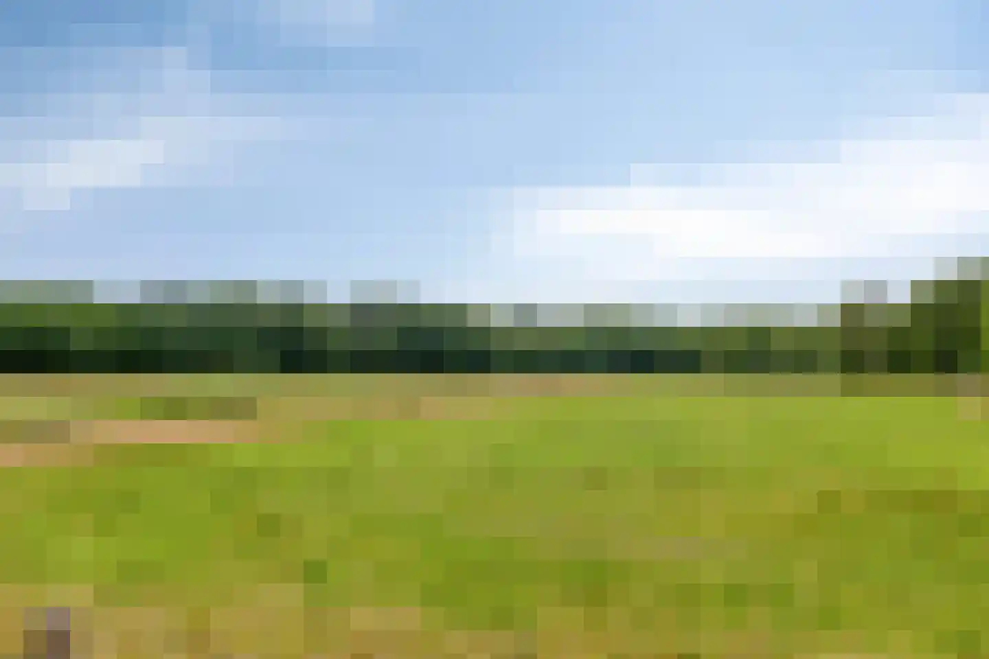 Moolweg 3 Burgh-Haamstede thumbnail 38