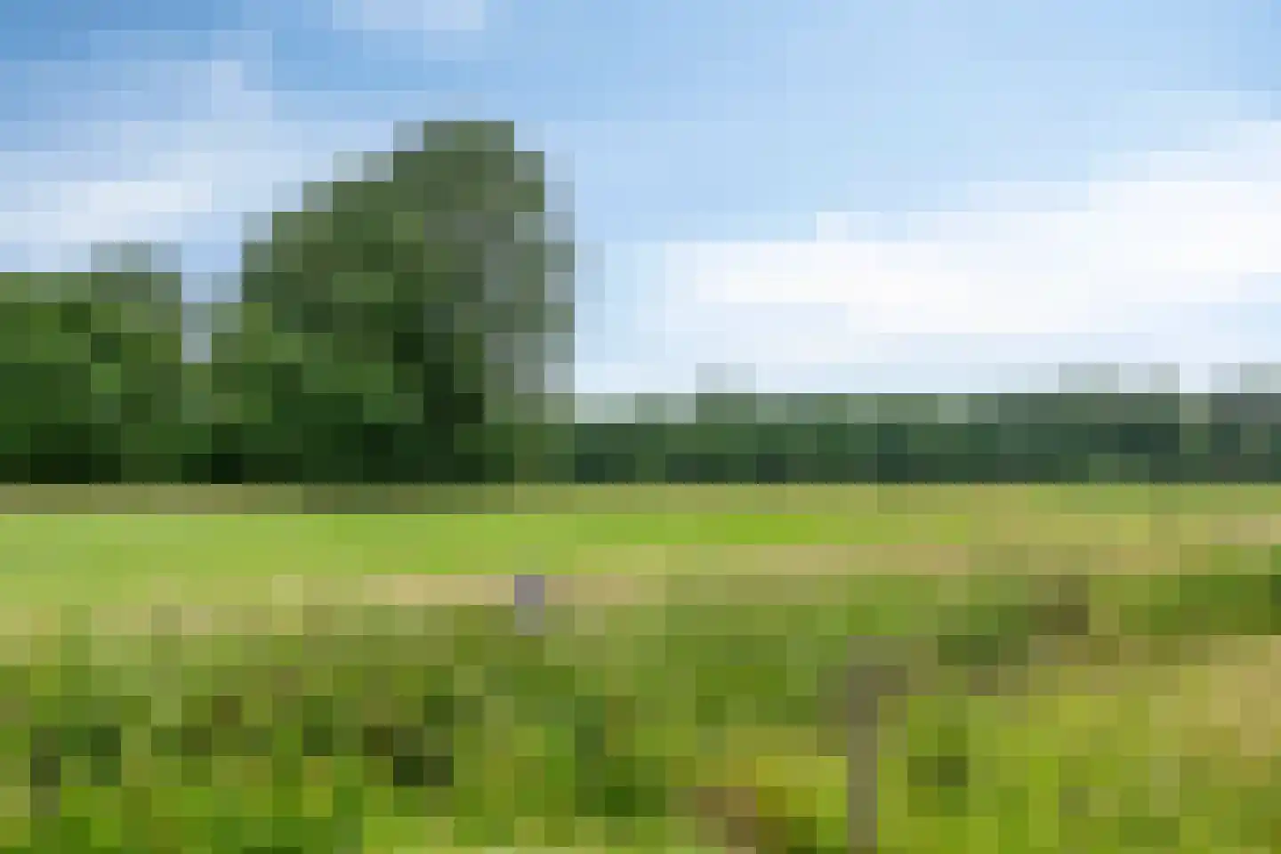 Moolweg 3 Burgh-Haamstede thumbnail 39
