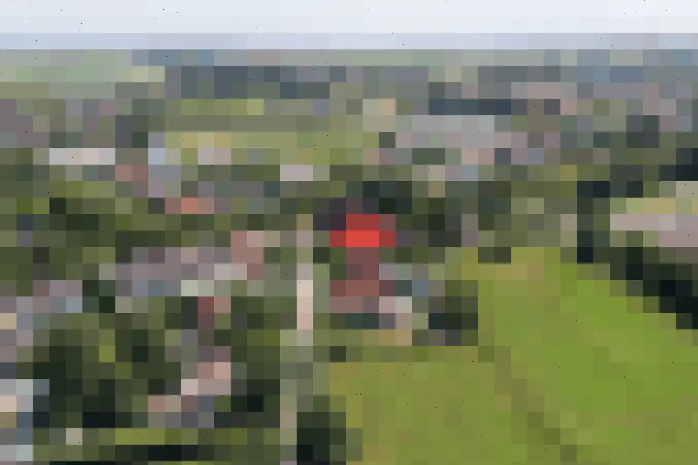 Moolweg 3 Burgh-Haamstede thumbnail 53